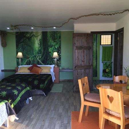 Paris Confort B&B Monteverde Zewnętrze zdjęcie