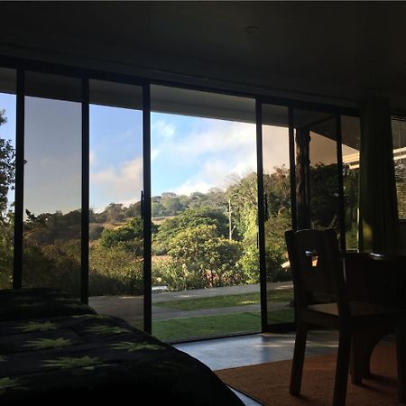 Paris Confort B&B Monteverde Zewnętrze zdjęcie