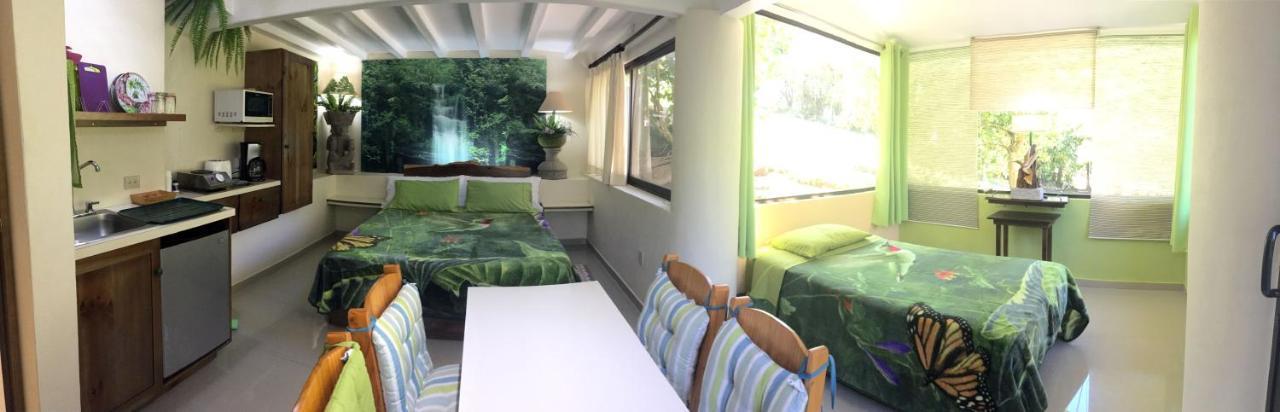 Paris Confort B&B Monteverde Zewnętrze zdjęcie