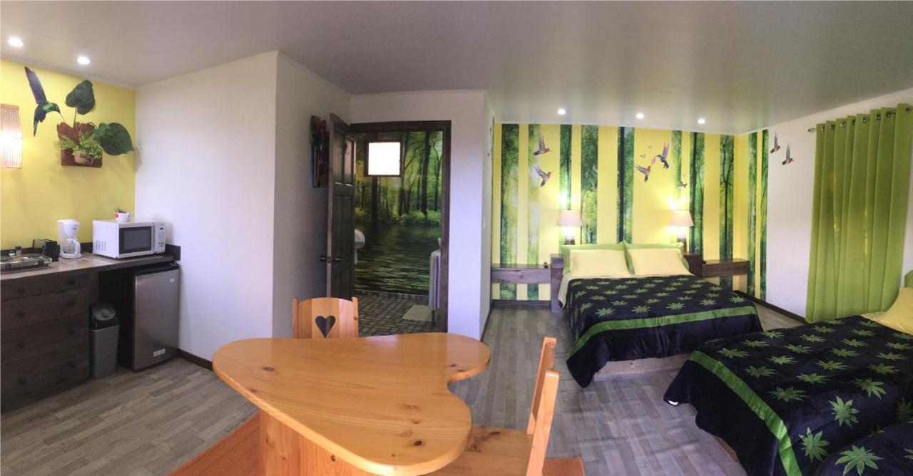 Paris Confort B&B Monteverde Zewnętrze zdjęcie