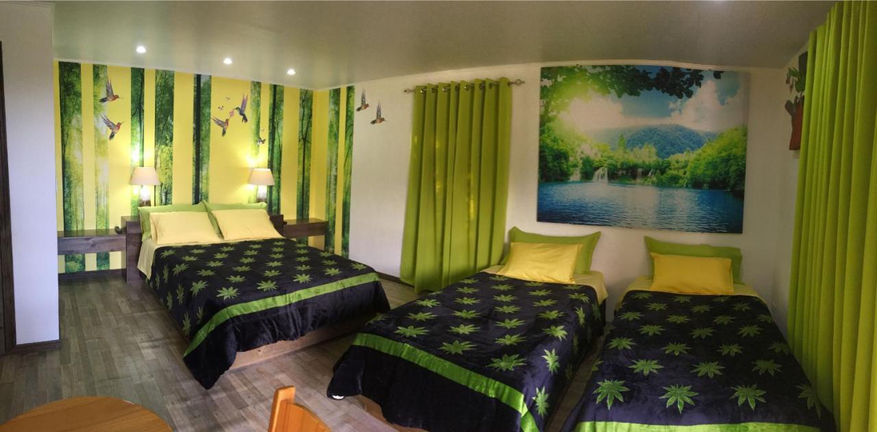 Paris Confort B&B Monteverde Zewnętrze zdjęcie